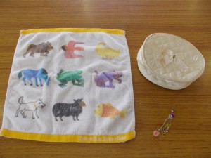 DSCN0462